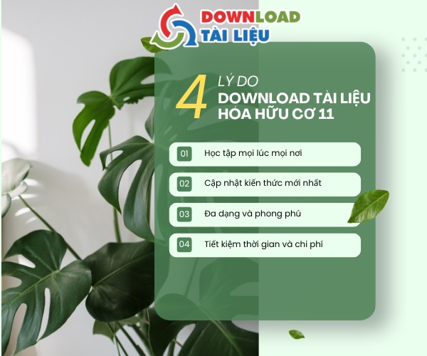 tài liệu hóa hữu cơ 11