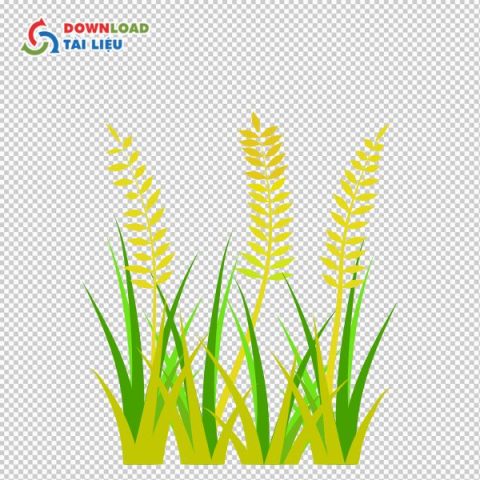 Tải Bông Lúa Vector Miễn Phí File PNG, PSD, AI