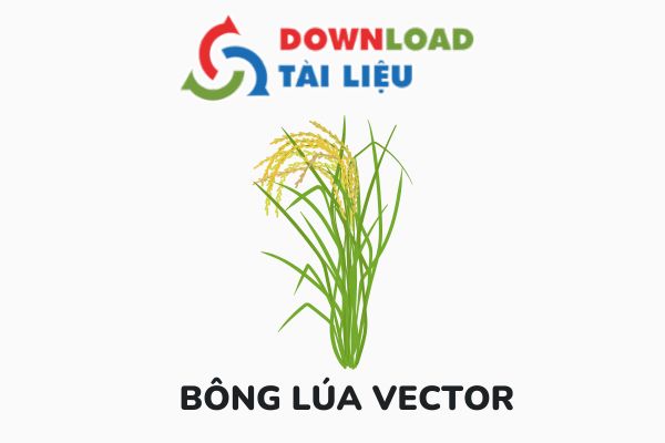 bong lua vector avatar