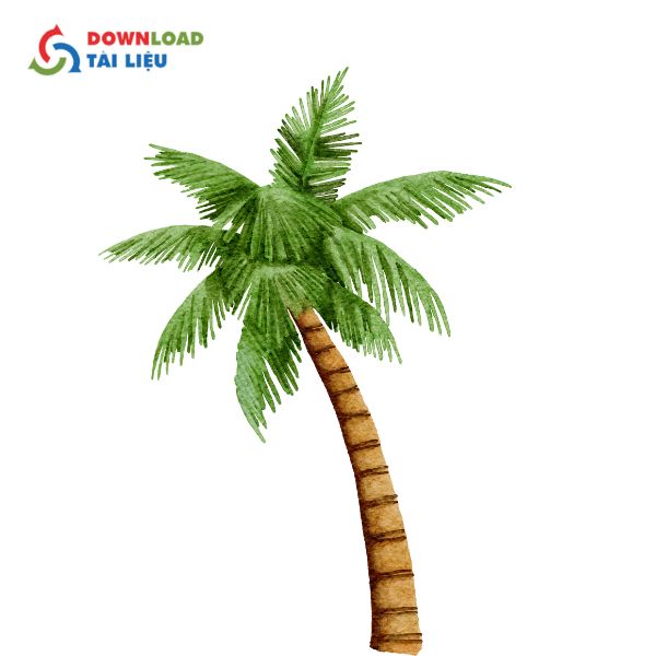 coconut tree vector 5