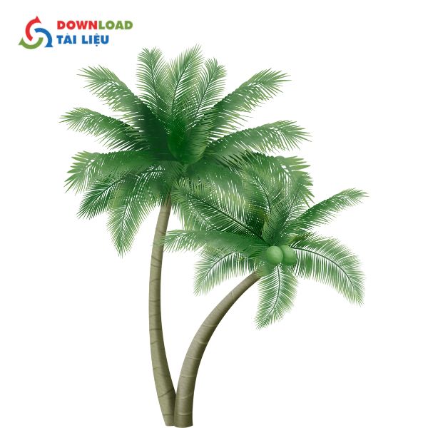 coconut tree vector 6