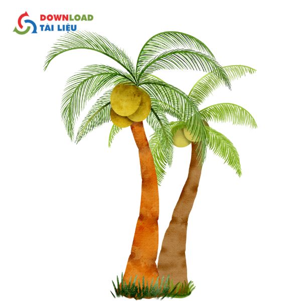 coconut tree vector 8