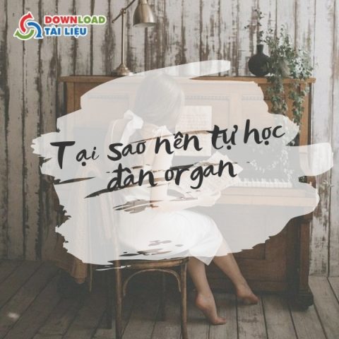 Tại Sao Nên Download Tài Liệu Tự Học Đàn Organ?