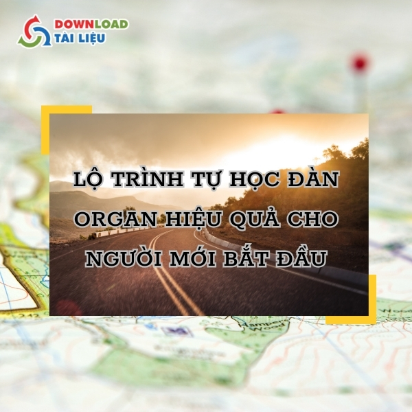 Lộ Trình Tự Học Đàn Organ Hiệu Quả Cho Người Mới Bắt Đầu