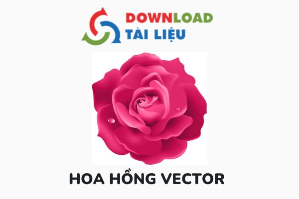 hoa hong vector avatar