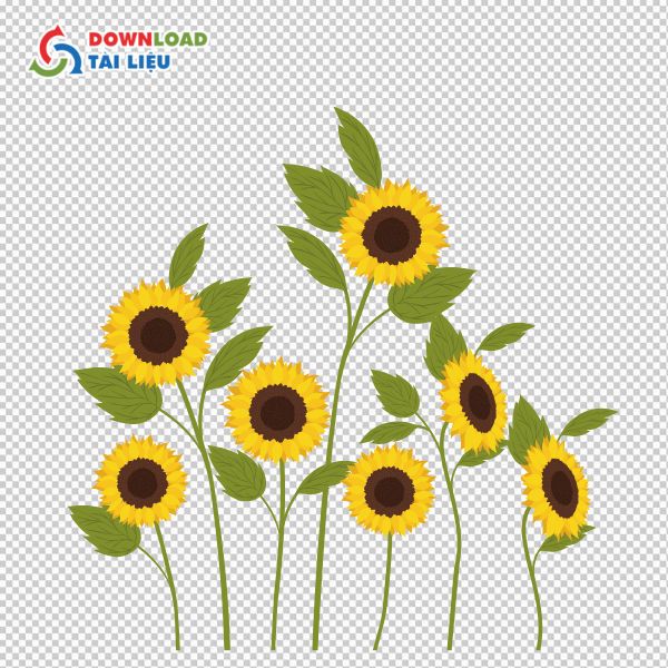 sunflower vector