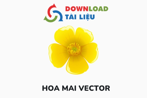 hoa mai vector avatar