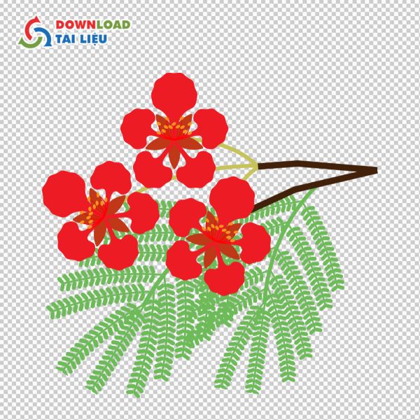 cành hoa phượng vector