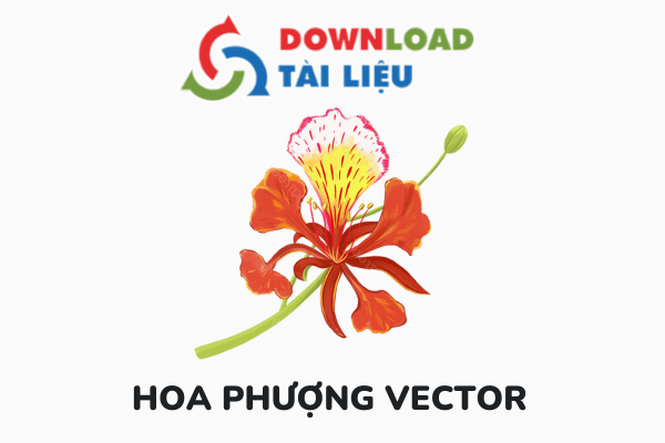 hoa phuong vector avatar