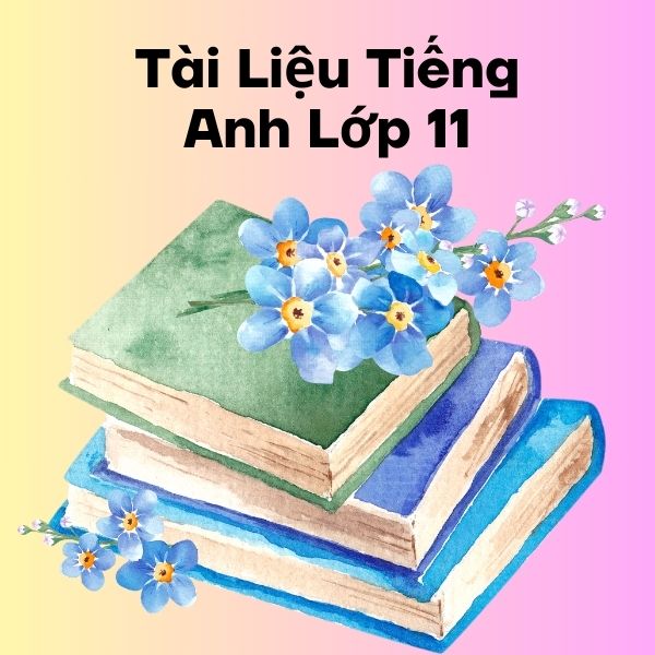 Một Số Tài Liệu Bồi Dưỡng Tiếng Anh 11