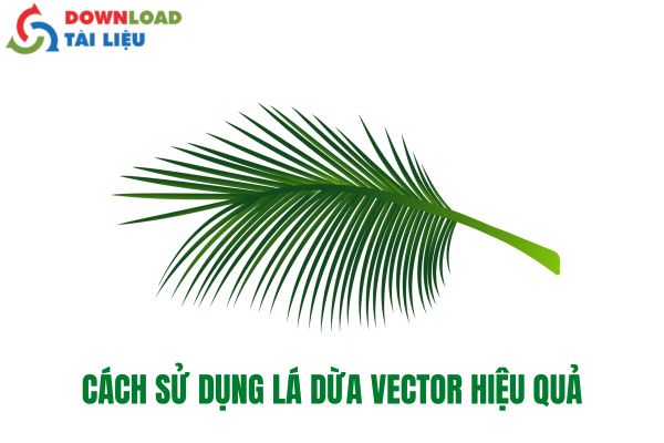 Cách Sử Dụng Lá Dừa Vector Hiệu Quả