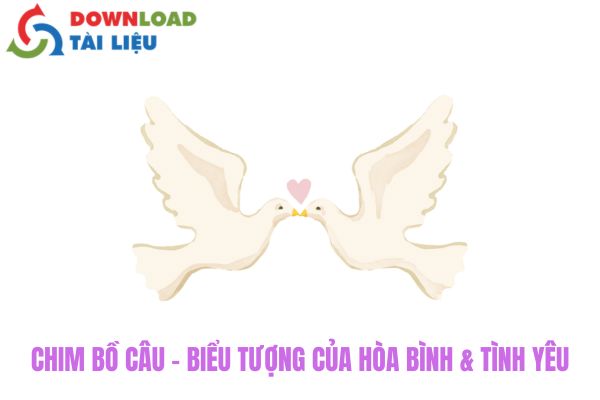 Chim Bồ Câu - Biểu Tượng Của Hòa Bình & Tình Yêu