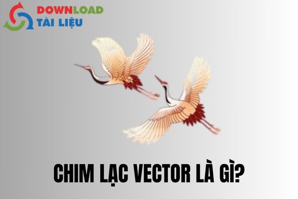 Chim Lạc Vector Là Gì