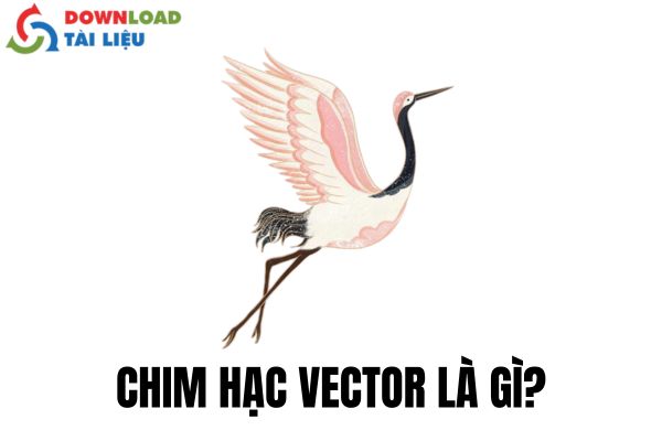 Chim hạc vector là gì