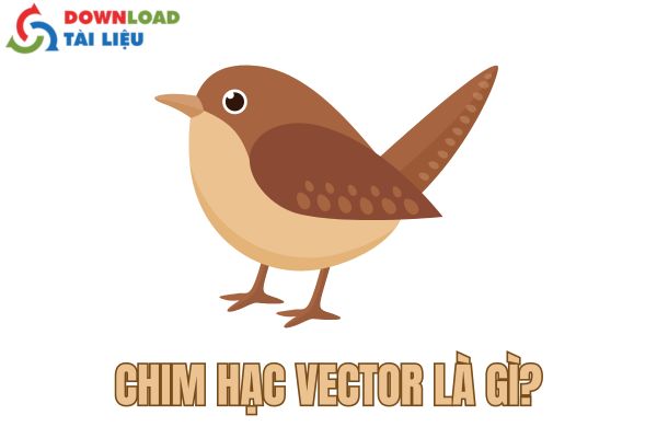 Chim vector là gì