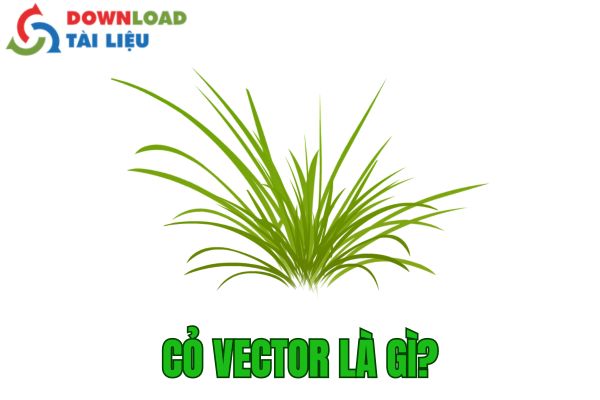 Cỏ Vector Là Gì