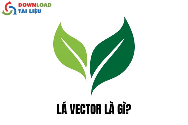 Lá Vector Là Gì