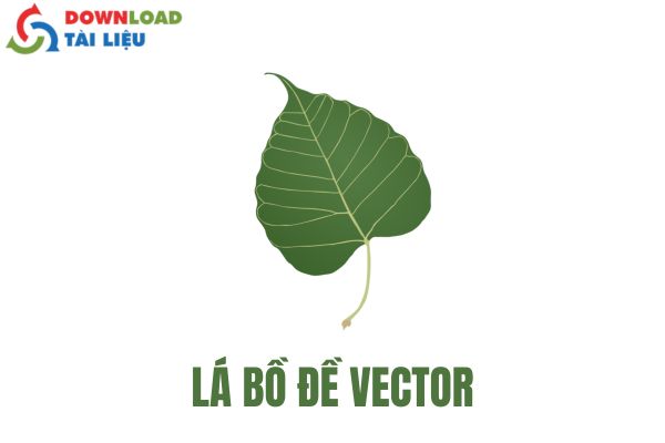 Lá bồ đề vector