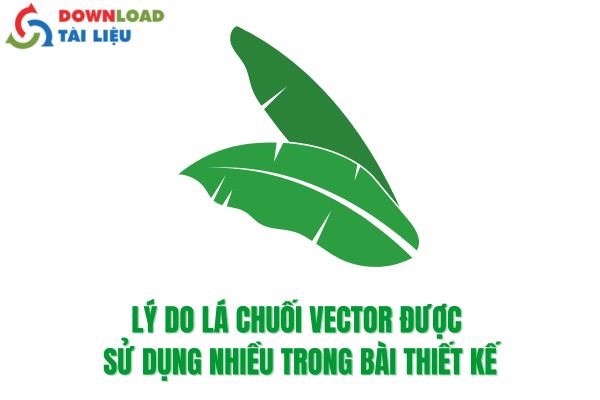 Ly Do La Chuoi Vector Duoc Su Dung Nhieu Trong Bai Thiet Ke