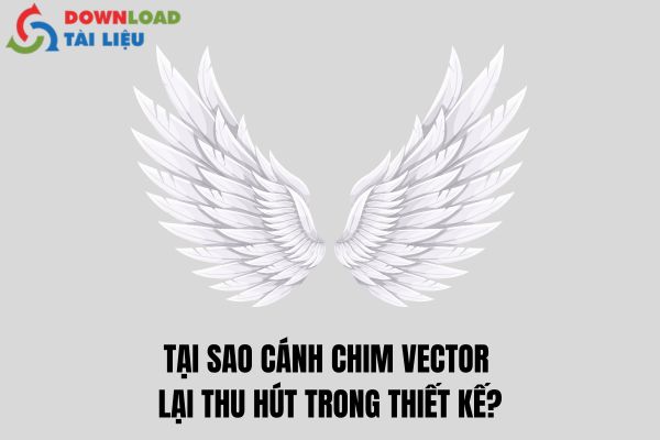 Tại sao cánh chim vector lại thu hút trong thiết kế