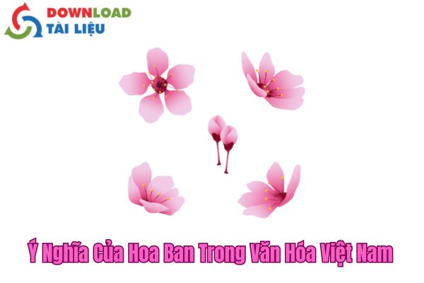 Ý Nghĩa Của Hoa Ban Trong Văn Hóa Việt Nam