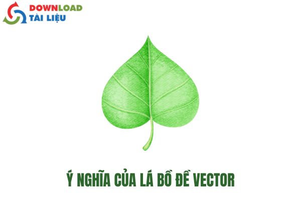 Ý Nghĩa Của Lá Bồ Đề Vector