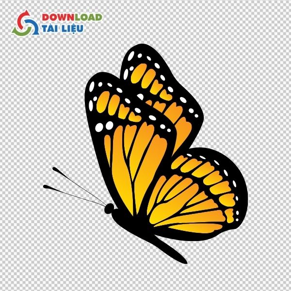 bươm bướm vector