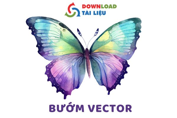 buom vector 0