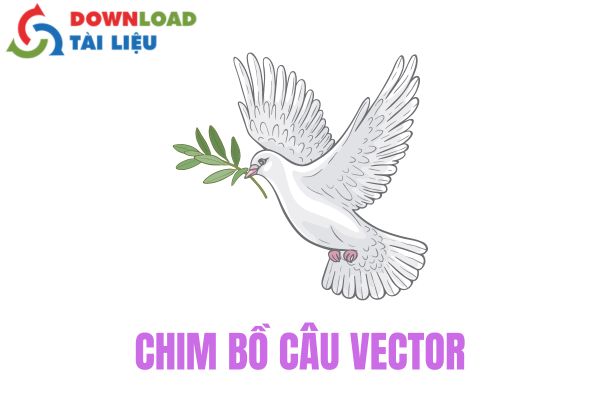 chim bồ câu vector