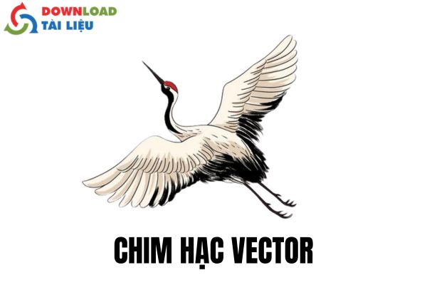 chim hạc vector