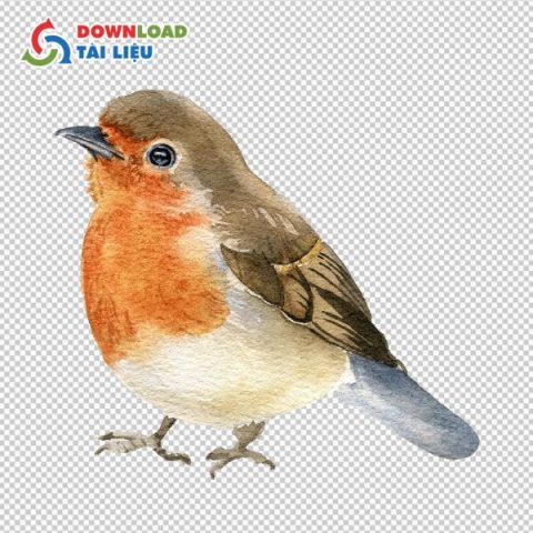 Tải Trọn Bộ Chim Vector Định Dạng AI, PSD, PNG, PDF