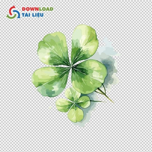 cỏ bốn lá vector png