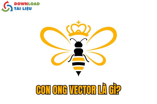 con ong vector là gì