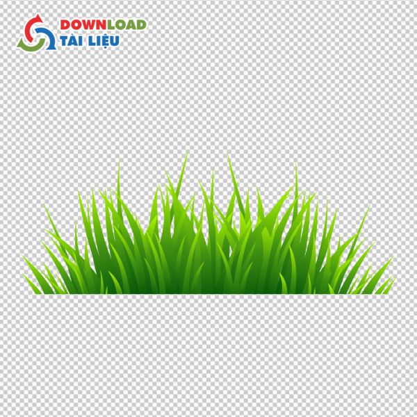 đồng cỏ vector