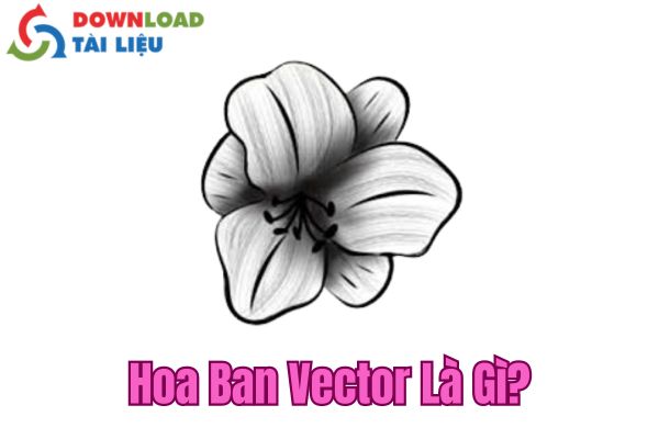 hoa ban vector là gì