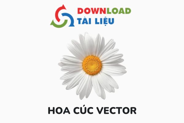 hoa cuc vector avatar