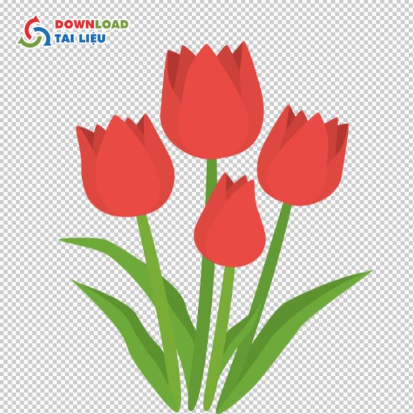 tulip flower vector