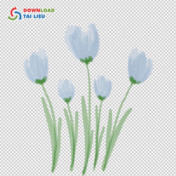 vector hoa tulip pastel