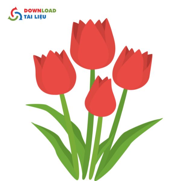 tulip flower vector