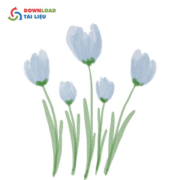 vector hoa tulip pastel