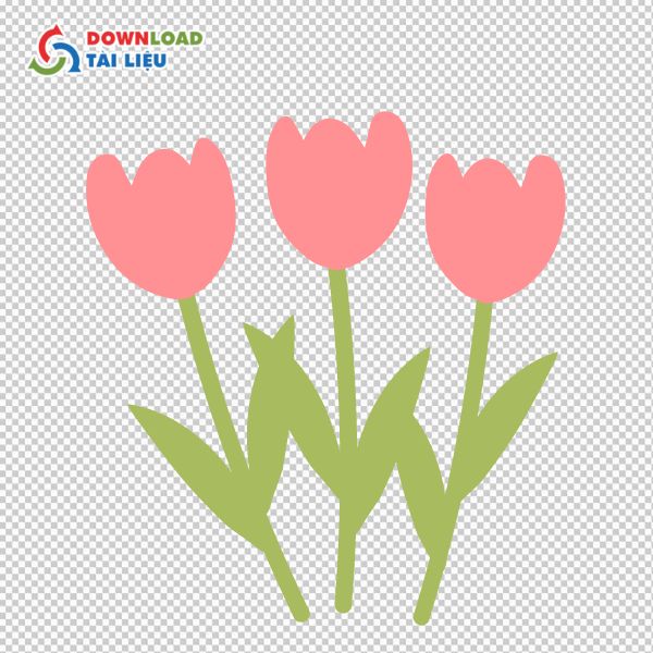 vector hoa tulip