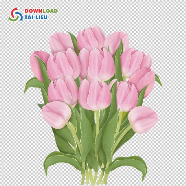 đóa hoa tulip vector