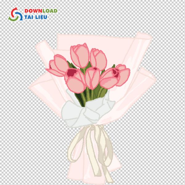 bó hoa tulip vector png