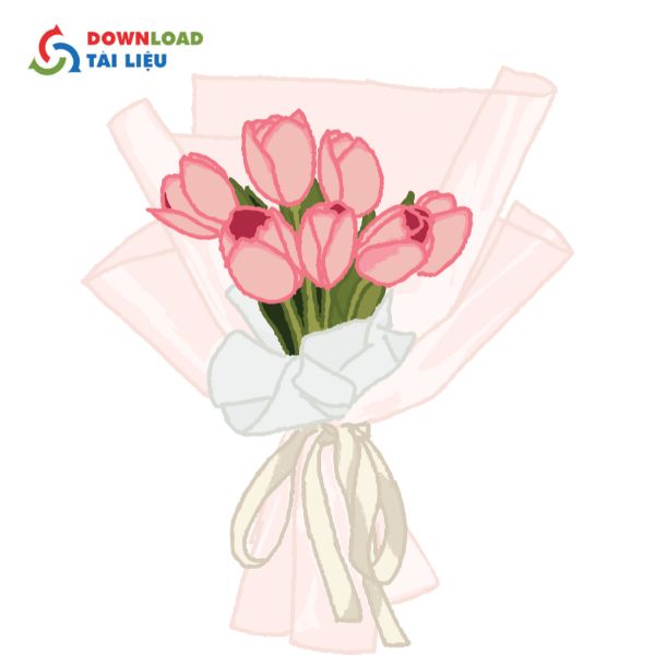 bó hoa tulip vector png