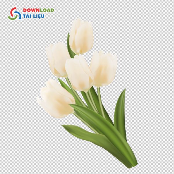 nhành bó hoa tulip vector thanh lịch