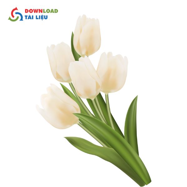 nhành bó hoa tulip vector thanh lịch