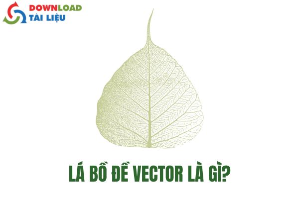 Lá Bồ Đề Vector Là Gì?