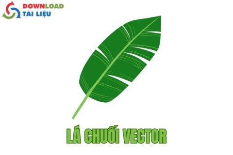 lá chuối vector