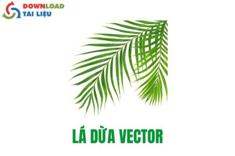 lá dừa vector