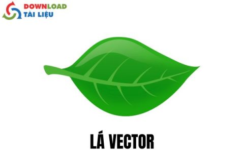 lá vector